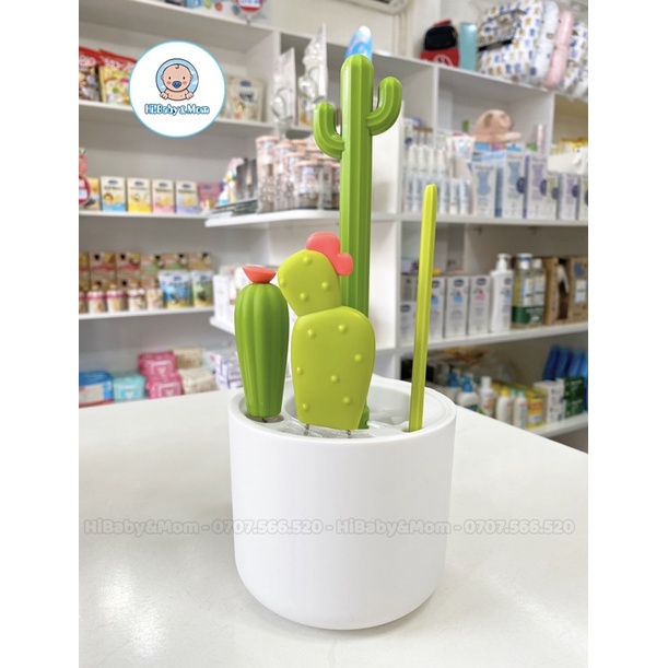 BỘ CỌ RỬA BÌNH XƯƠNG RỒNG