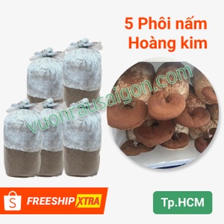 (Combo 05 Túi) Phôi Nấm Linh Chi