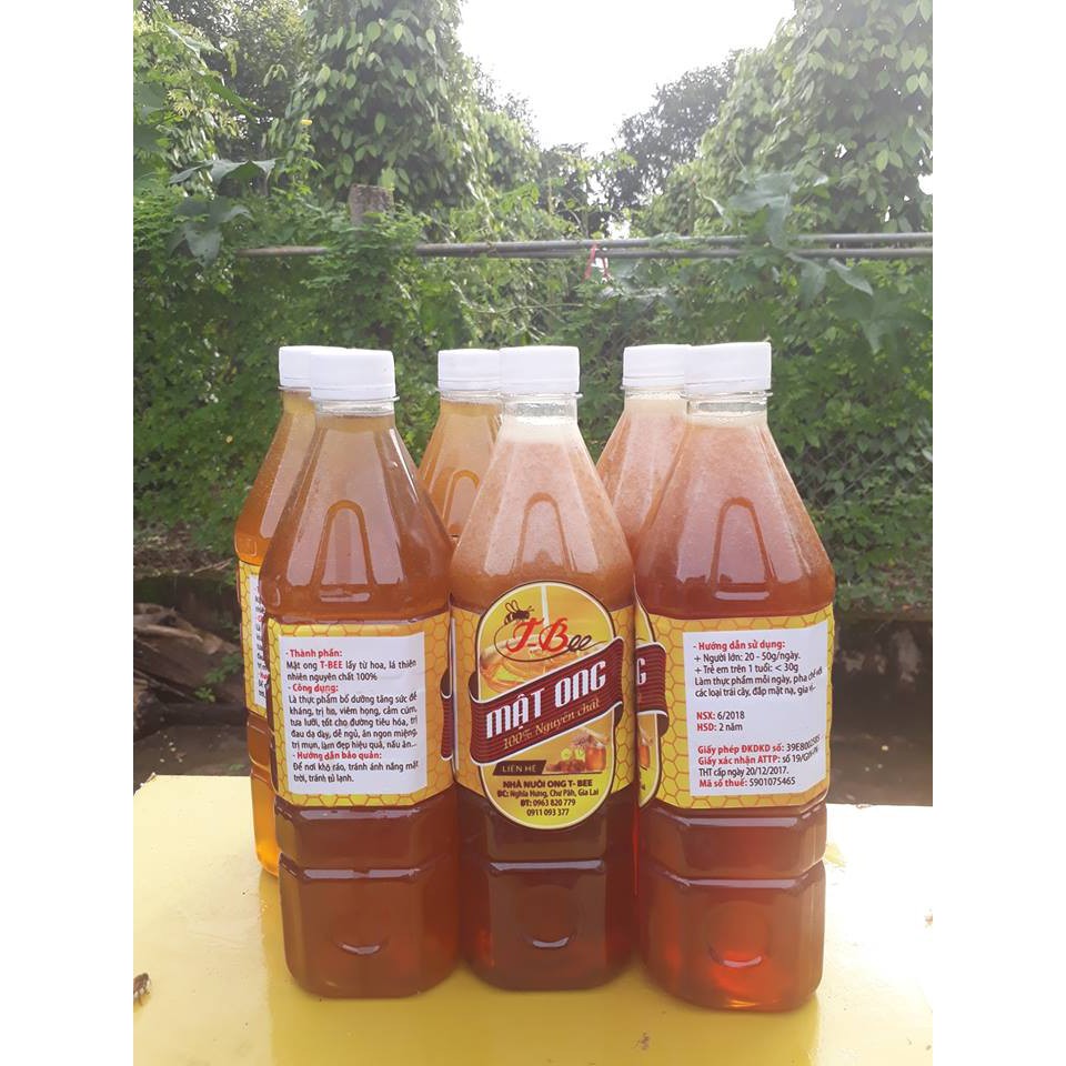 [FREESHIP 99K TOÀN QUỐC] sỉ 5 lít mật ong nguyên chất T BEE