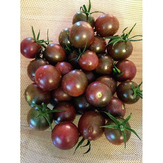 Hạt giống Cà chua bi Socola - Gói 5 hạt