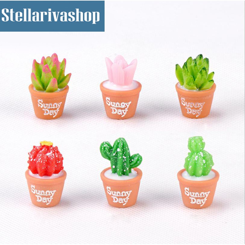 Tiểu Cảnh - Chậu cây sen đá và xương rồng làm tiểu cảnh terrarium/ mô hình trang trí