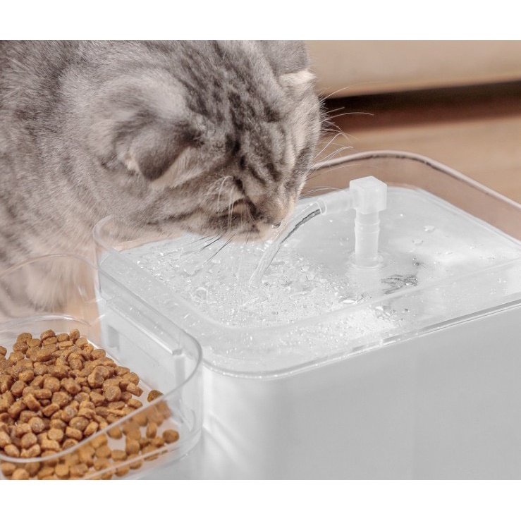 (CÓ SẴN) Máy lọc nước cho chó mèo tuần hoàn tự động 1.5L 2L