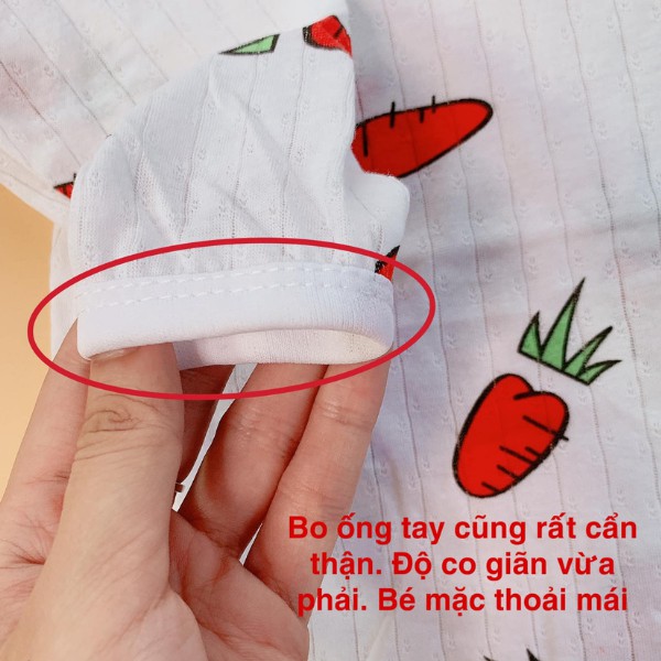 Quần Áo Trẻ Em,Bộ Hè Bé Trai,Bé Gái,Đồ Bộ Bé Gái Mùa Hè Hàng Xuất Hàn 5-15 Kg