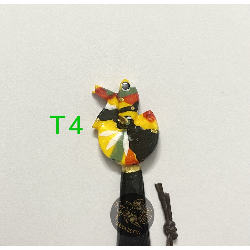 Cây kè cá betta + Tặng Cám INVE 5/8