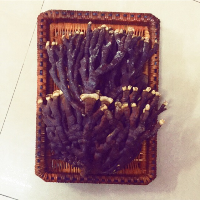 [ SALE SỐC] Nấm linh chi sừng hưu thượng hạng Hàn Quốc 500g | BigBuy360 - bigbuy360.vn