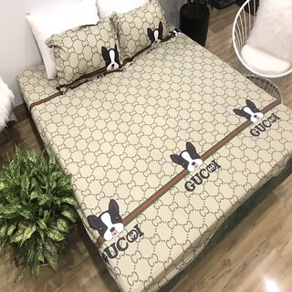 BỘ GA GỐI POLY COTTON 3 MÓN