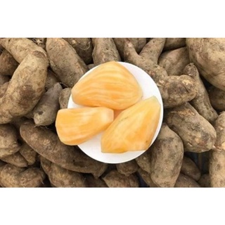 Củ sâm đất vùng cao tây bắc giá 1kg