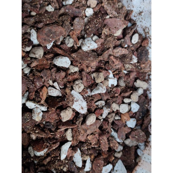 Potting Soil BA - Giá Thể Kiểng Lá, Hoa Hồng 20dm3