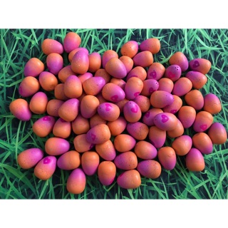 Sét 5 trứng Hatchimal mini