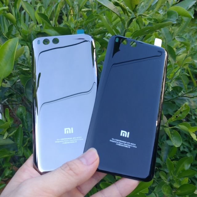 Nắp lưng mi 6