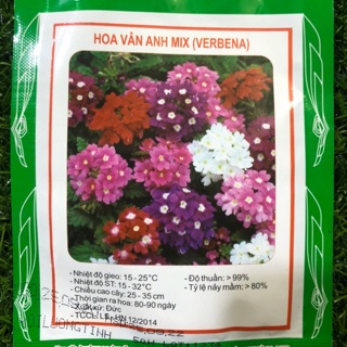 HẠT GIỐNG HOA VÂN ANH (CÚC LÁ NHO)50hạt/gói