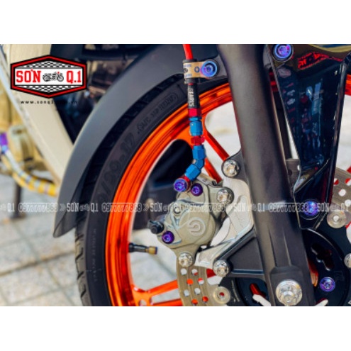 Heo BB 2 pis logo lớn