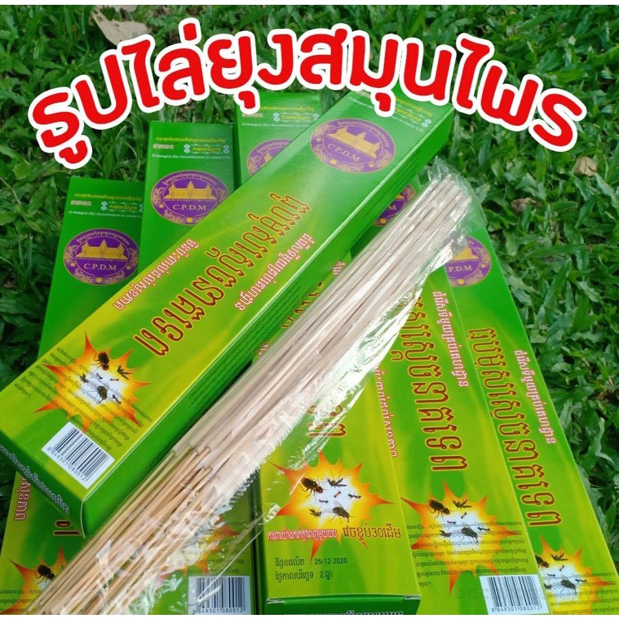 Nhang diệt muỗi ṫhảo mộc không khói CPDM Thái Lan