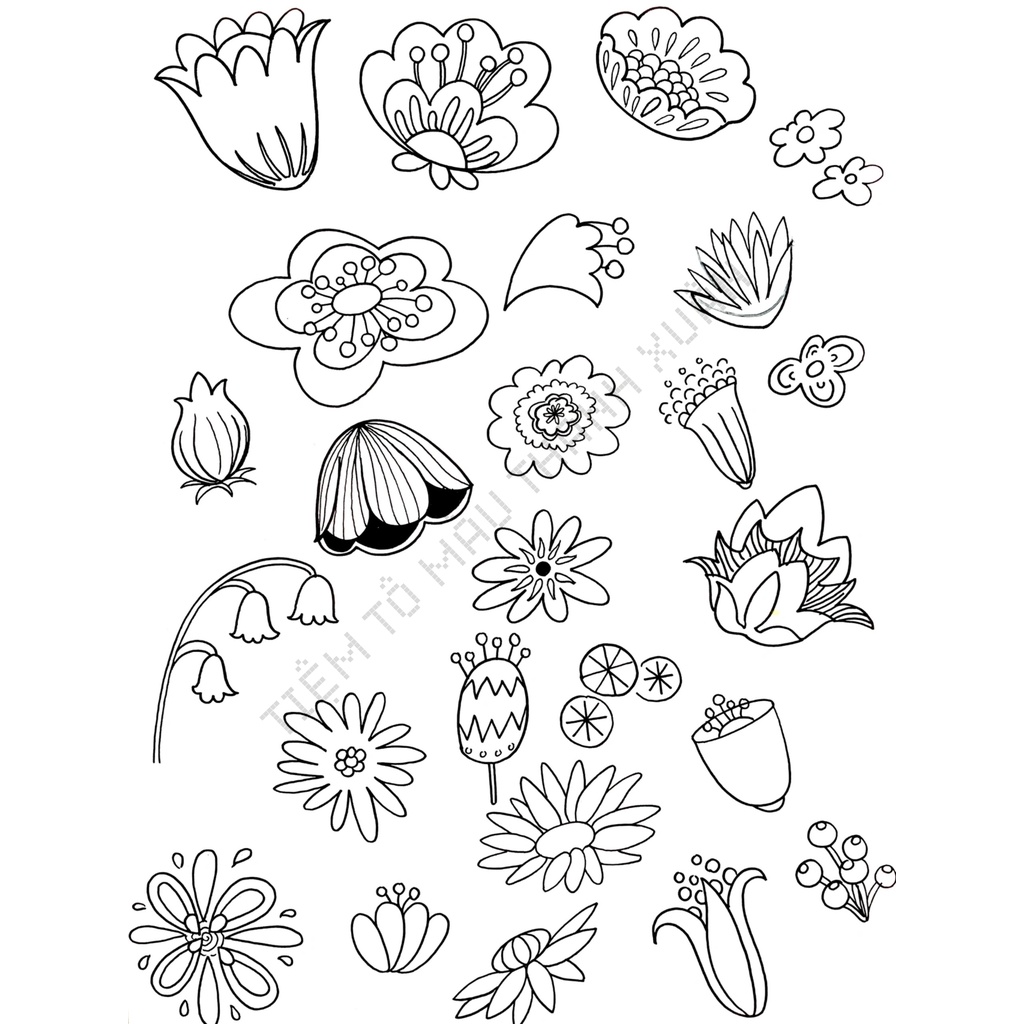 Set 7 Tờ Tranh Tô Màu Hoa Lá Tô Màu Sáp Màu Chì - Tiệm Tô Màu Thanh Xuân