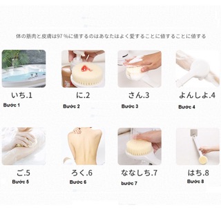 Cọ lưng muji xuất nhật