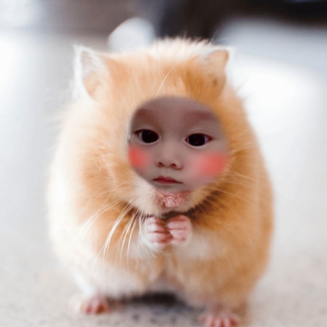 COCHI shop, Cửa hàng trực tuyến | BigBuy360 - bigbuy360.vn