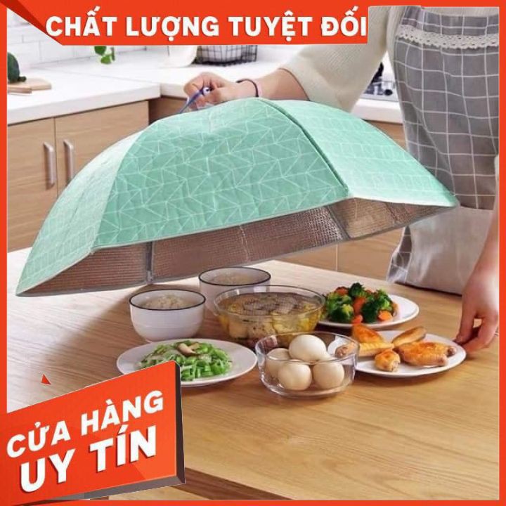 Lồng bàn giữ nhiệt gấp gọn cỡ lớn 6 cạnh có khung chống bụi và côn trùng bền đẹp [LOẠI TO ĐẸP]