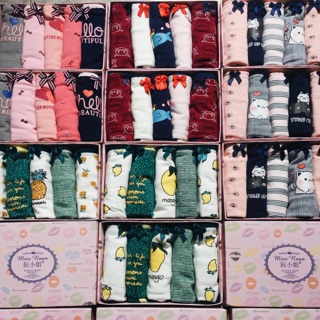 Set hộp 5 quần chip cotton