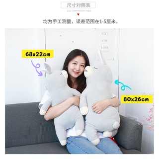 Gấu lười ngủ ngày