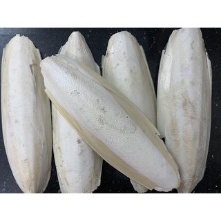 Nang mực (Mai mực) cho chim KT 20~25cm