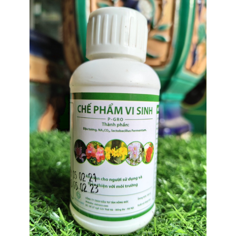 Chế phẩm vi sinh từ đậu tương P-GRO trừ nấm, sâu bệnh dành cho hoa, lan, cây cảnh