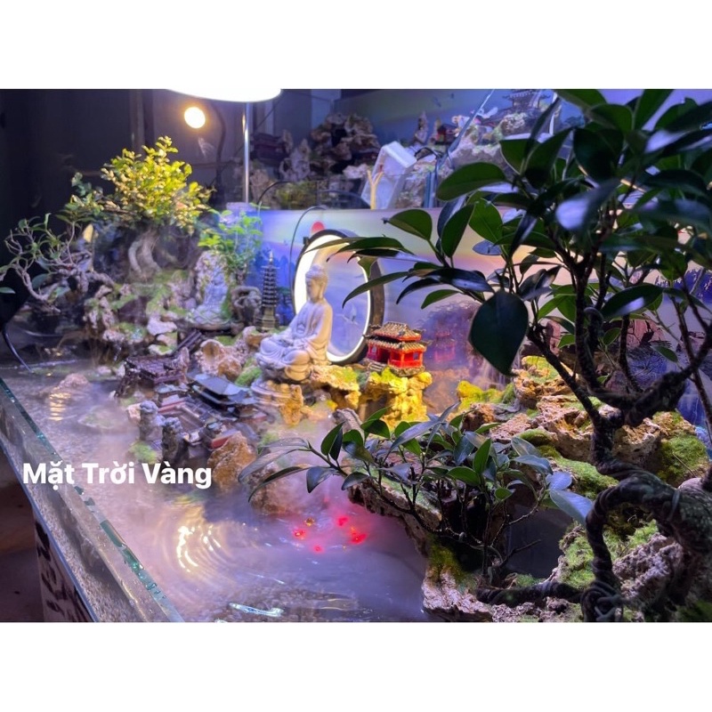 Bộ sưu tập hồ, bể bán cạn tiểu cảnh đa phong cách độc đáo by Kelsey Nguyen