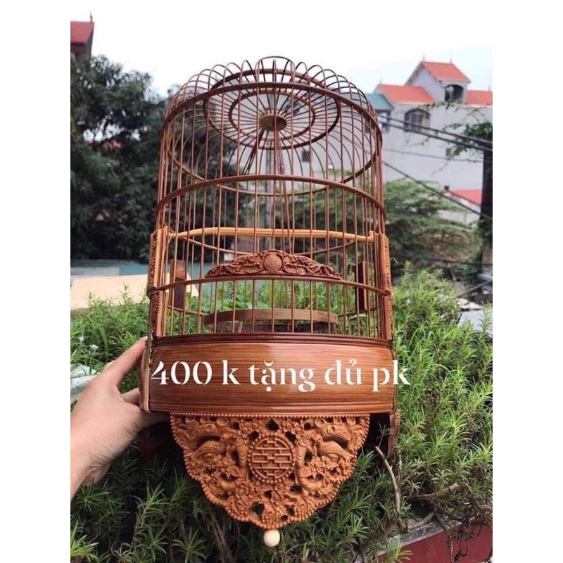 hoa mai vàng