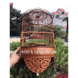 hoa mai vàng