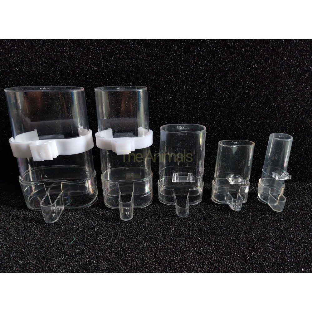 Cóng Nước Mica Tự Động Cho Chim Bình Nước Tự Động Cho Chim Bình Nước Cho Chim Uống