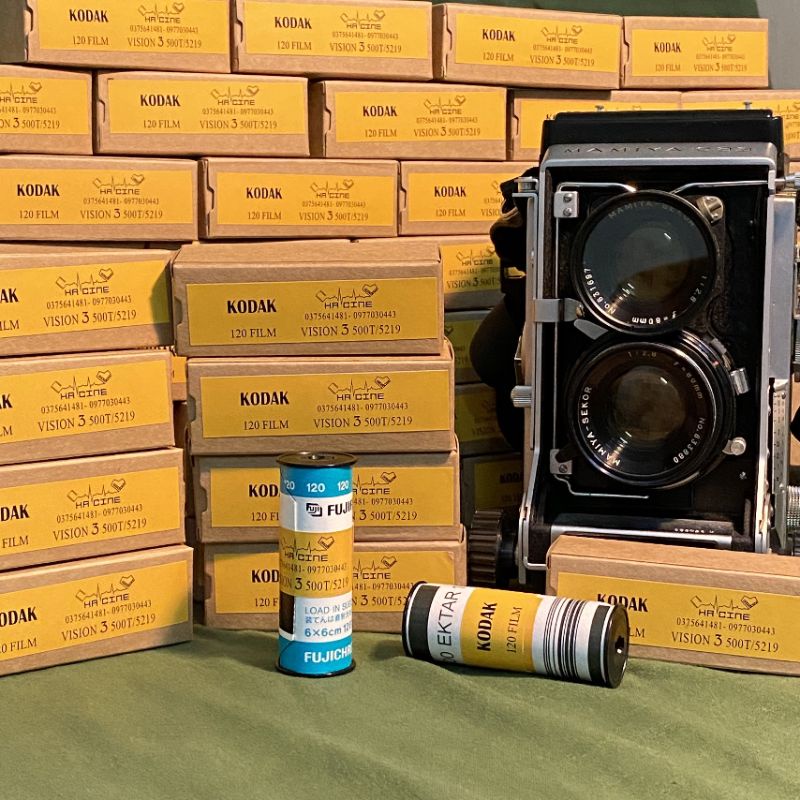 Film 120: Kodak Vision 3 500T (5219) - ISO 500-800