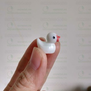 Vịt Mini Phụ Kiện Trang Trí Tiểu Cảnh Sen Đá