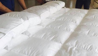Tấm làm mềm nệm thần thánh