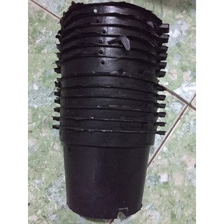40 chậu bít 12 cm