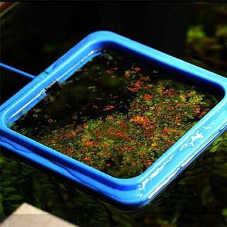 Dụng cụ cho cá ăn AquaBlue FL-75 Vòng cho cá ăn