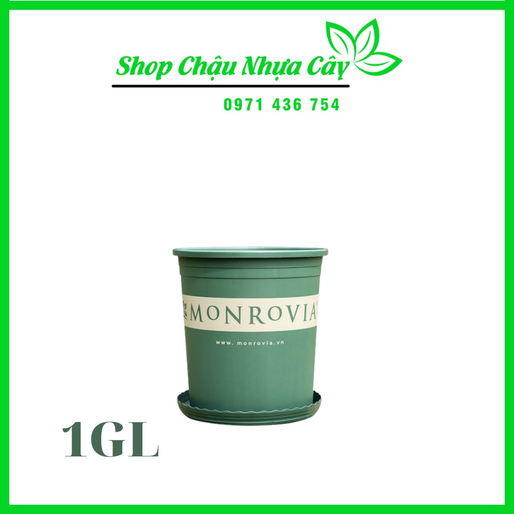 Chậu Nhựa Monrovia Nhập Khẩu Kèm Đĩa 1GL