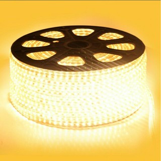 Cuộn led 2835 hai hàng bóng