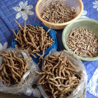 Ba Kích Tím Rút Lõi Sẵn ( hút chân không 1kg)