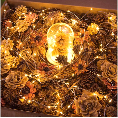 Đèn trang trí đom đóm 4m 40 bóng fairy light chạy pin giá rẻ