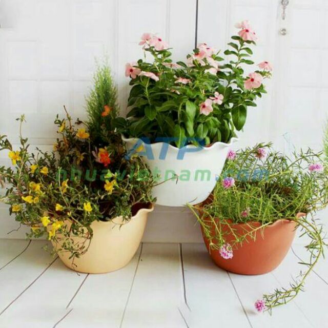 [Chính Hãng] Chậu trồng hoa treo ốp tường siêu đẹp