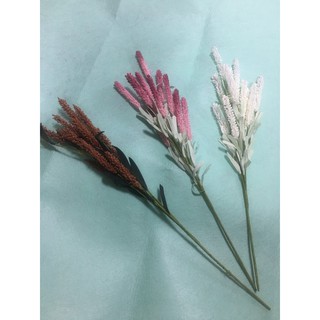 HOA LAVENDER TRANG TRÍ
