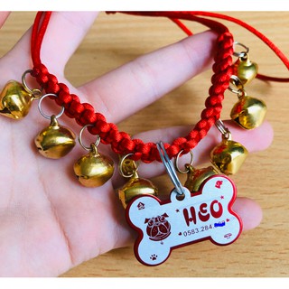 Bảng tên chó mèo + Vòng cổ 6 chuông