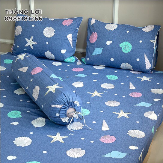 Drap Cotton 100% Thắng Lợi chính hãng Mẫu SÒ ỐC BIỂN IN LOGO THẮNG LỢI vệ sinh dễ dàng.