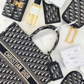 Túi Dior Book cực tiện