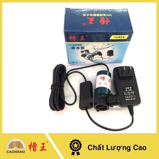 Bơm nước mini 12V Caowang - Hàng chính hãng