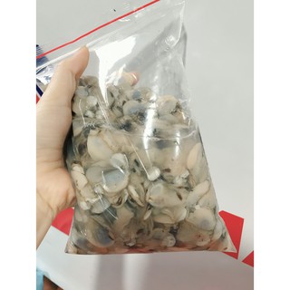 ruột thìa 500g