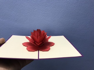 Thiệp popup hoa hồng