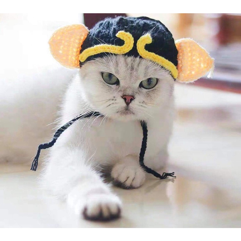 Mũ bát giới cho mèo đủ size