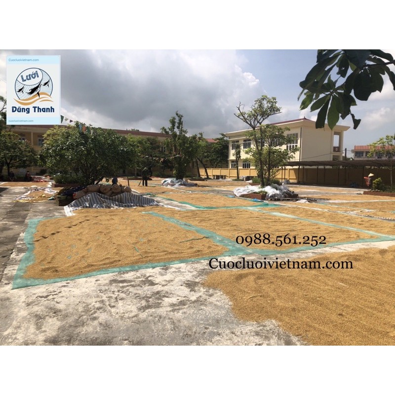 Lưới phơi thóc màu xanh rêu 3x10m - 4x7.5m - 5x6m