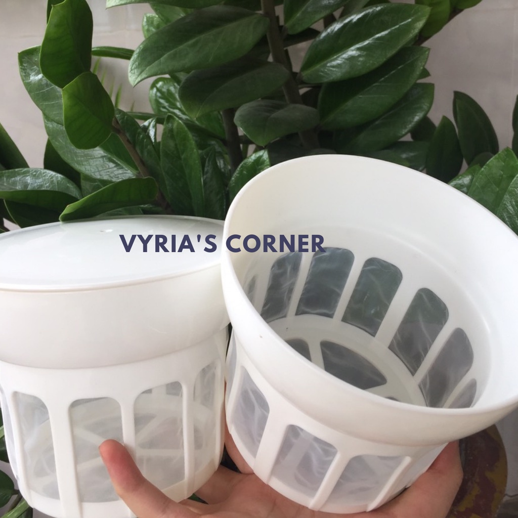 Cốc lọc sữa chua Hy Lạp làm sữa chua nấm kefir cực dẻo