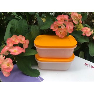 Hộp trữ đông 450ml Tupperware gen 2 - Mẫu mới nhất